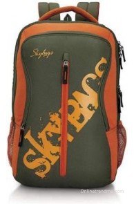 Skybags Punch 02 2.5 L Backpack(Orange, Size - 180)